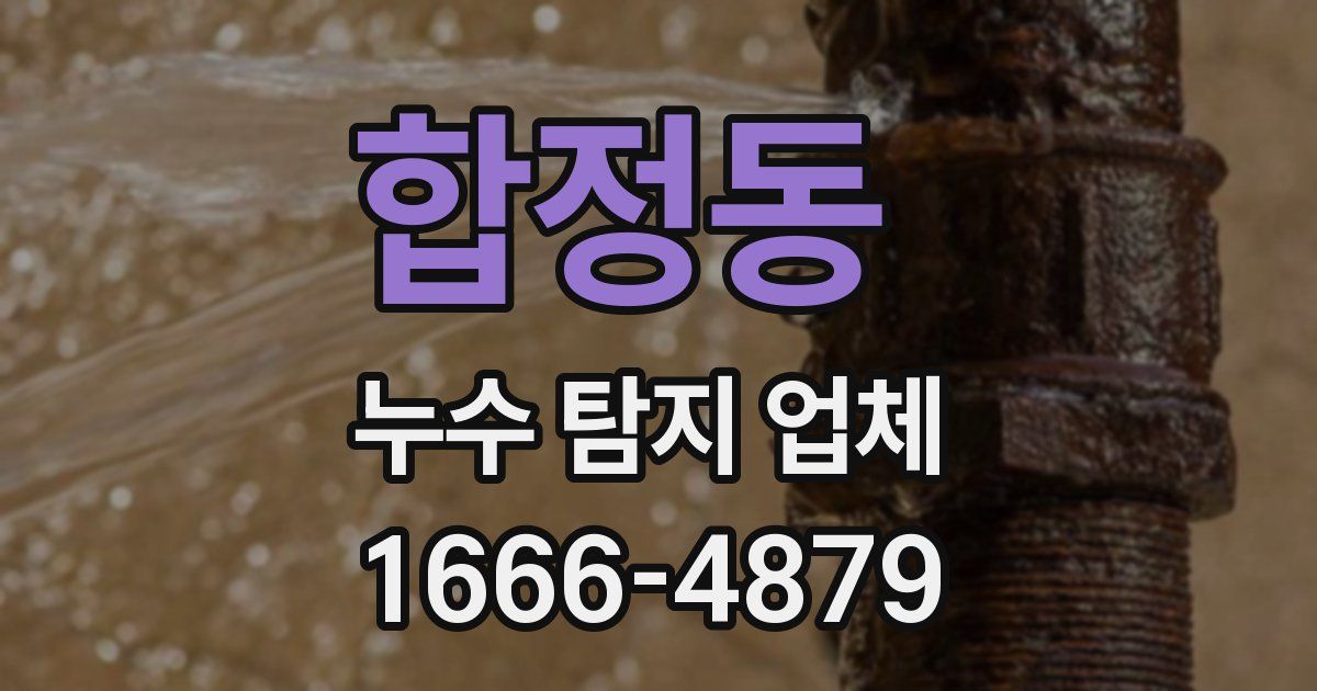합정동 누수 탐지 업체