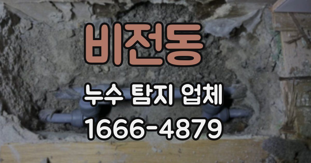 비전동 누수 탐지 업체