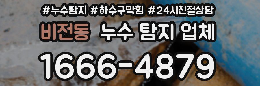 비전동 누수 탐지 업체