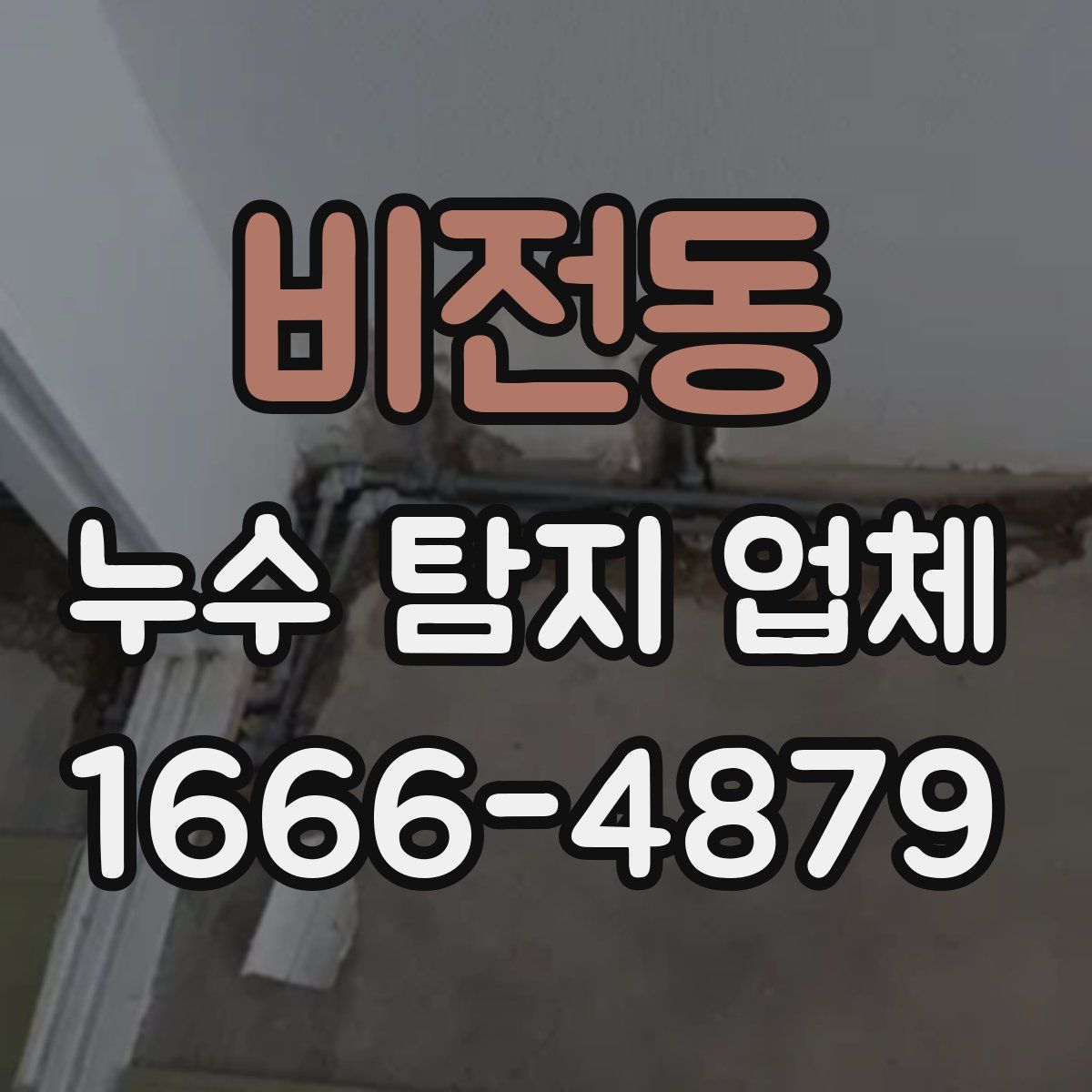 비전동 누수 탐지 업체