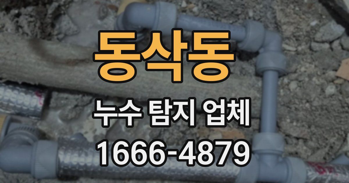 동삭동 누수 탐지 업체