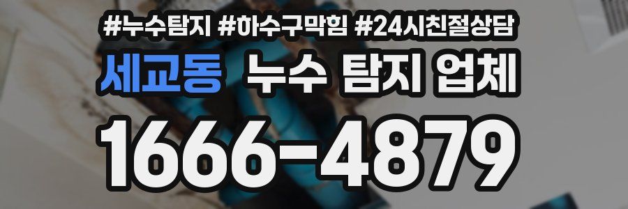 세교동 누수 탐지 업체