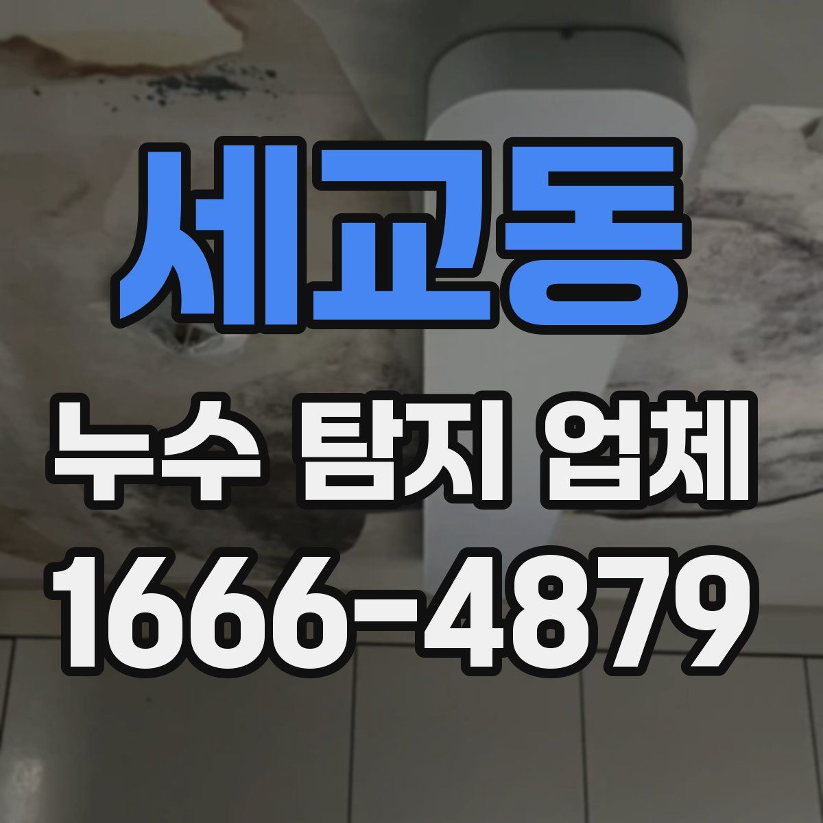 세교동 누수 탐지 업체