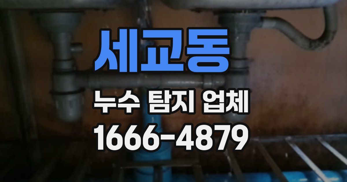 세교동 누수 탐지 업체