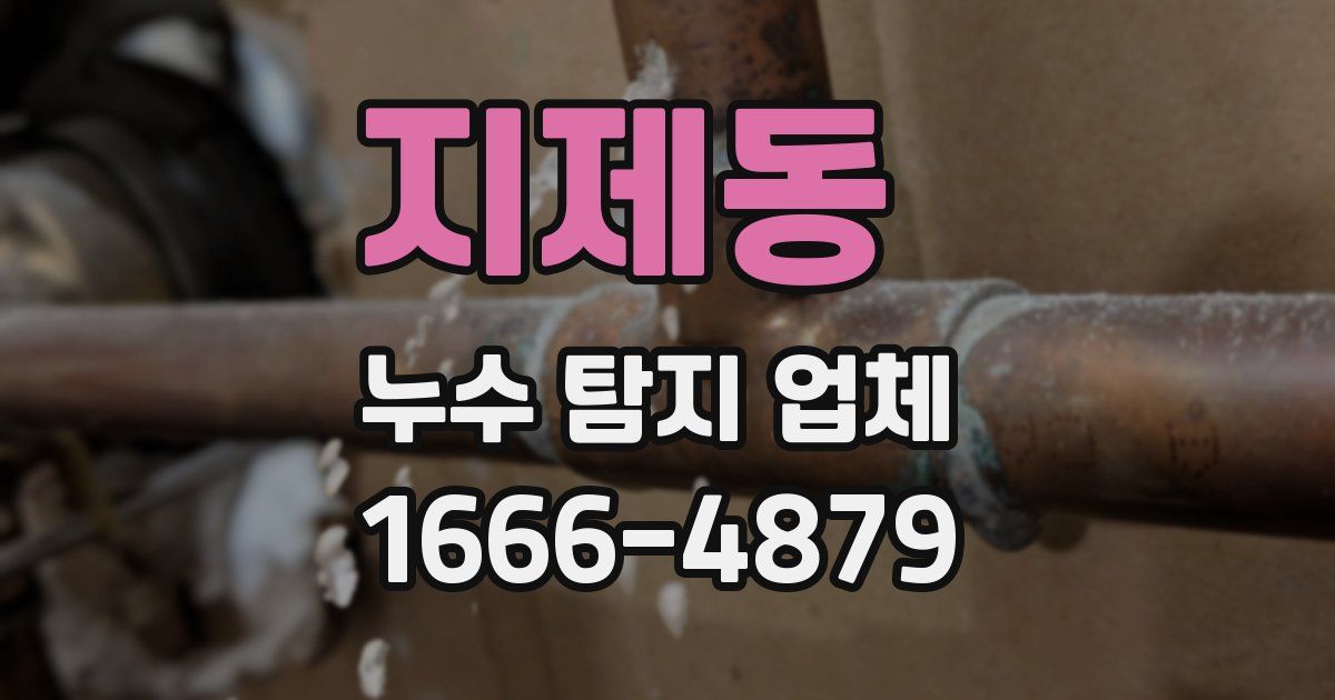 지제동 누수 탐지 업체
