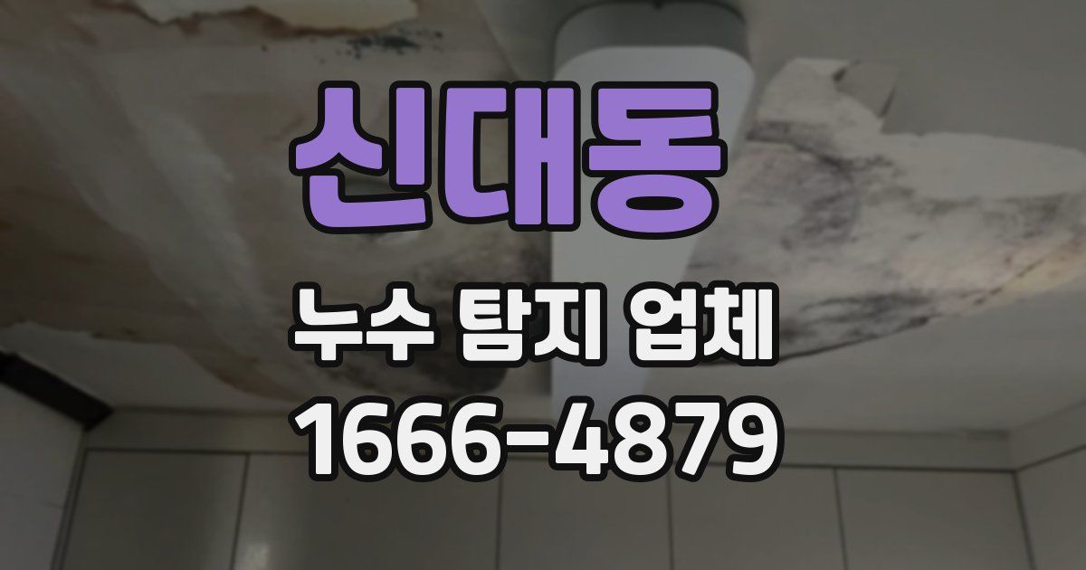 신대동 누수 탐지 업체