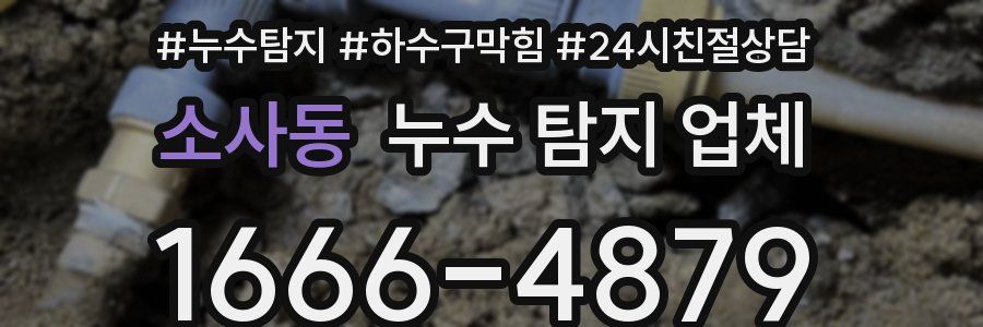 소사동 누수 탐지 업체