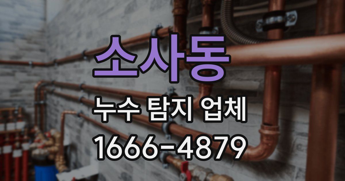소사동 누수 탐지 업체