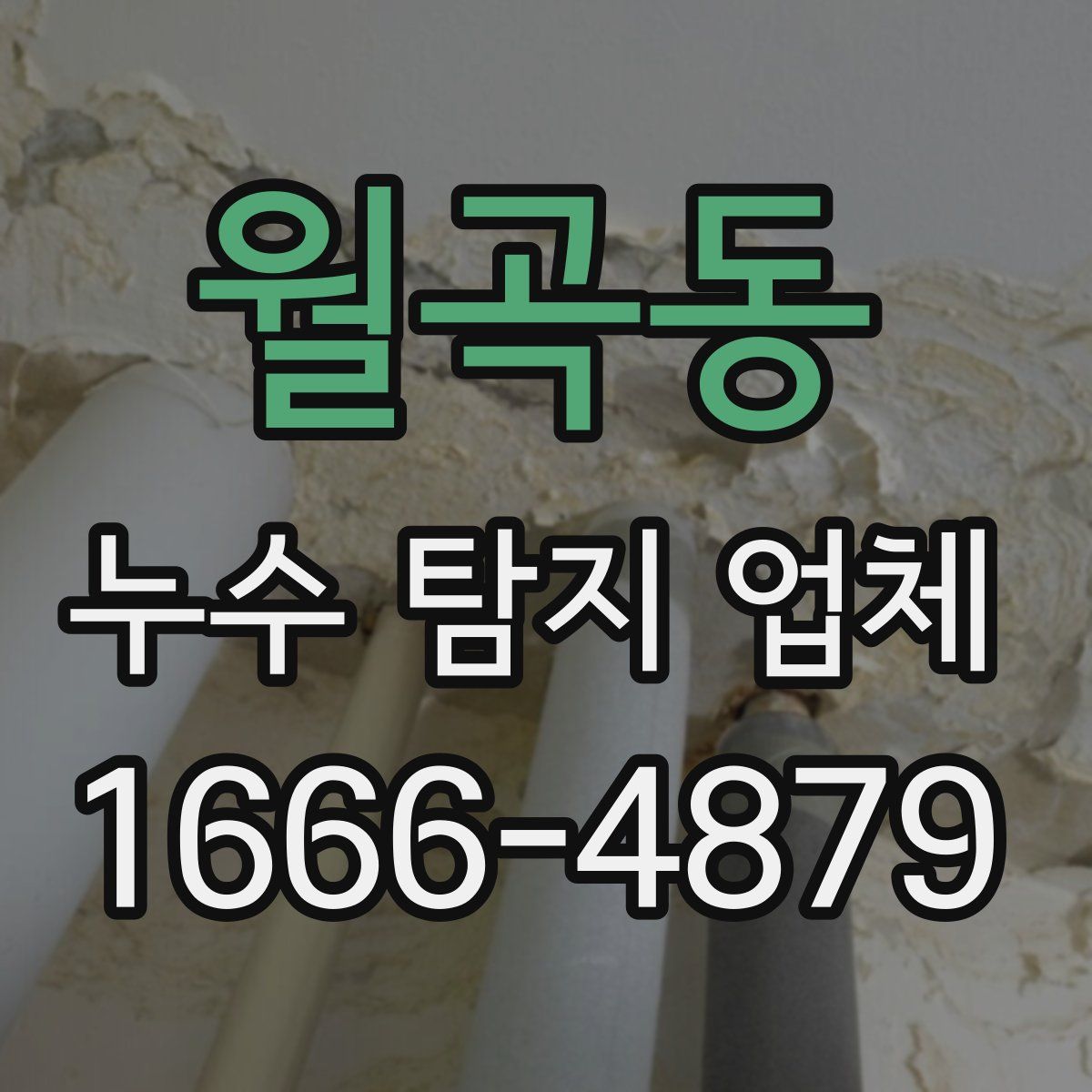 월곡동 누수 탐지 업체
