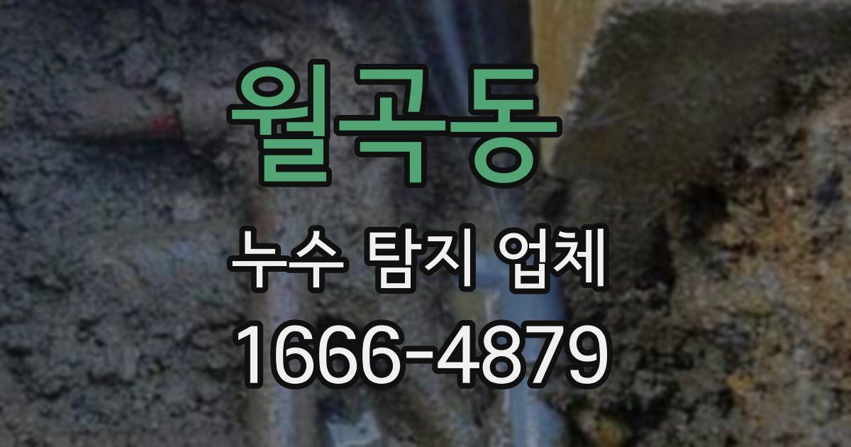 월곡동 누수 탐지 업체