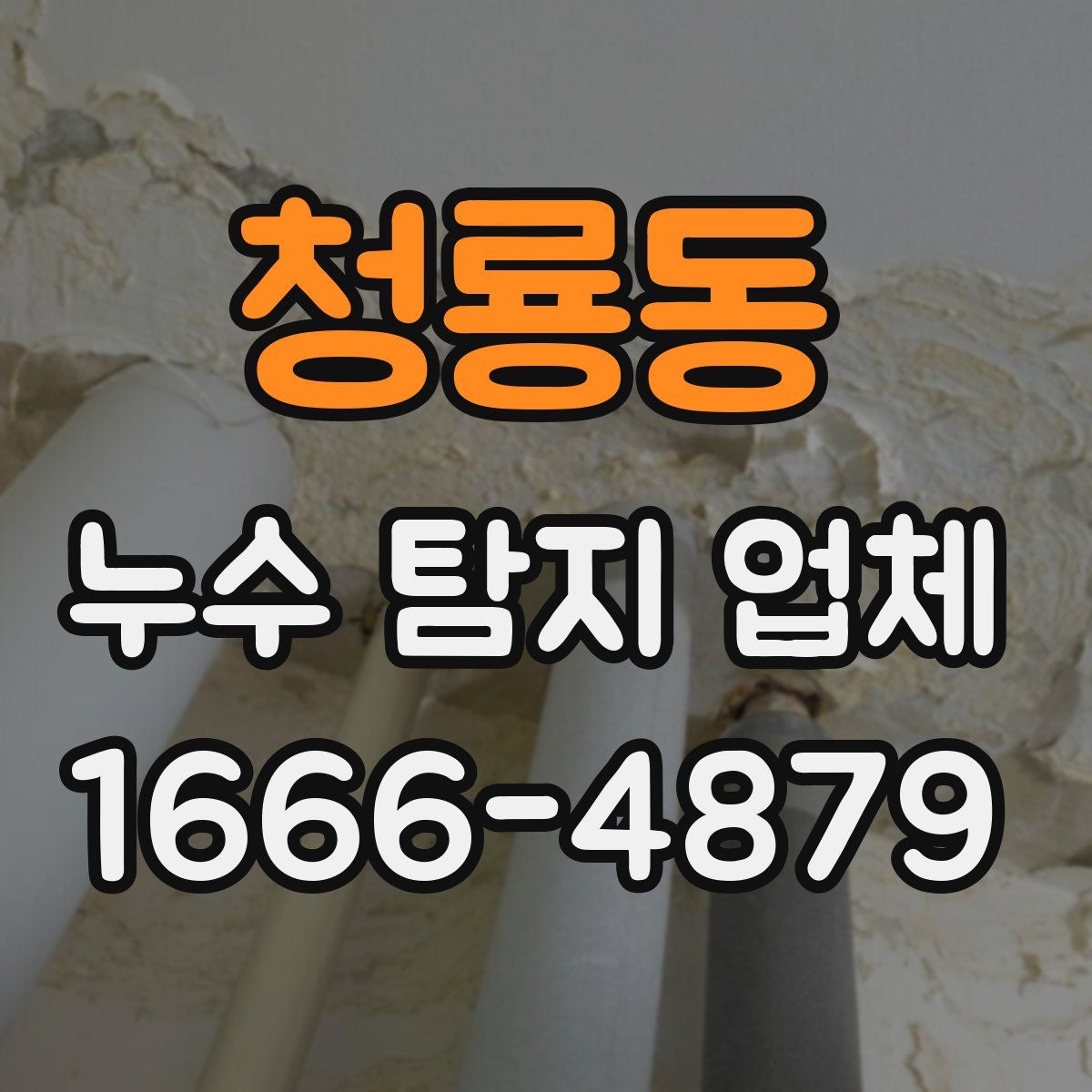 청룡동 누수 탐지 업체