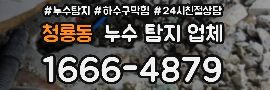 청룡동 누수 탐지 업체