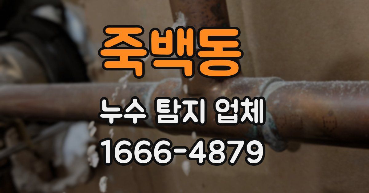 죽백동 누수 탐지 업체