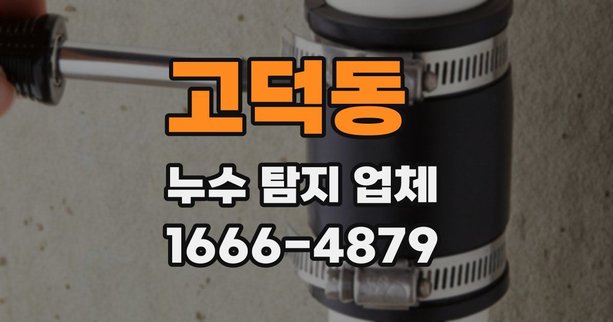 고덕동 누수 탐지 업체