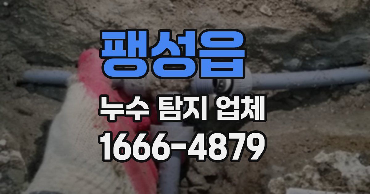 팽성읍 누수 탐지 업체