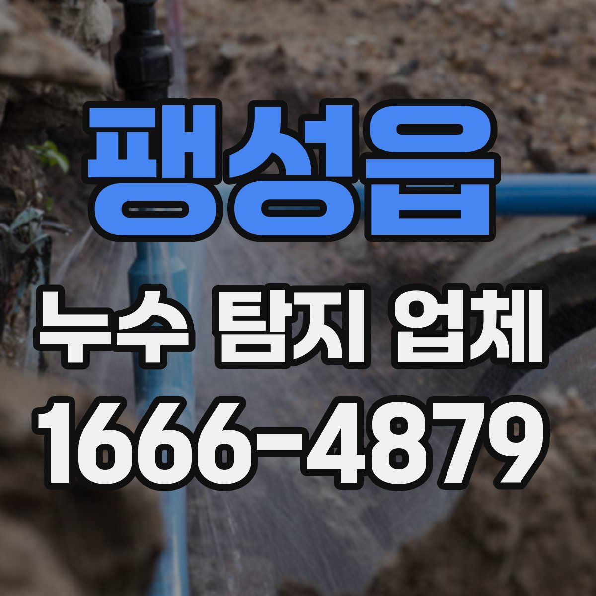 팽성읍 누수 탐지 업체