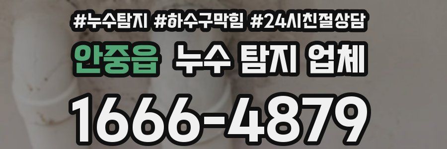 안중읍 누수 탐지 업체