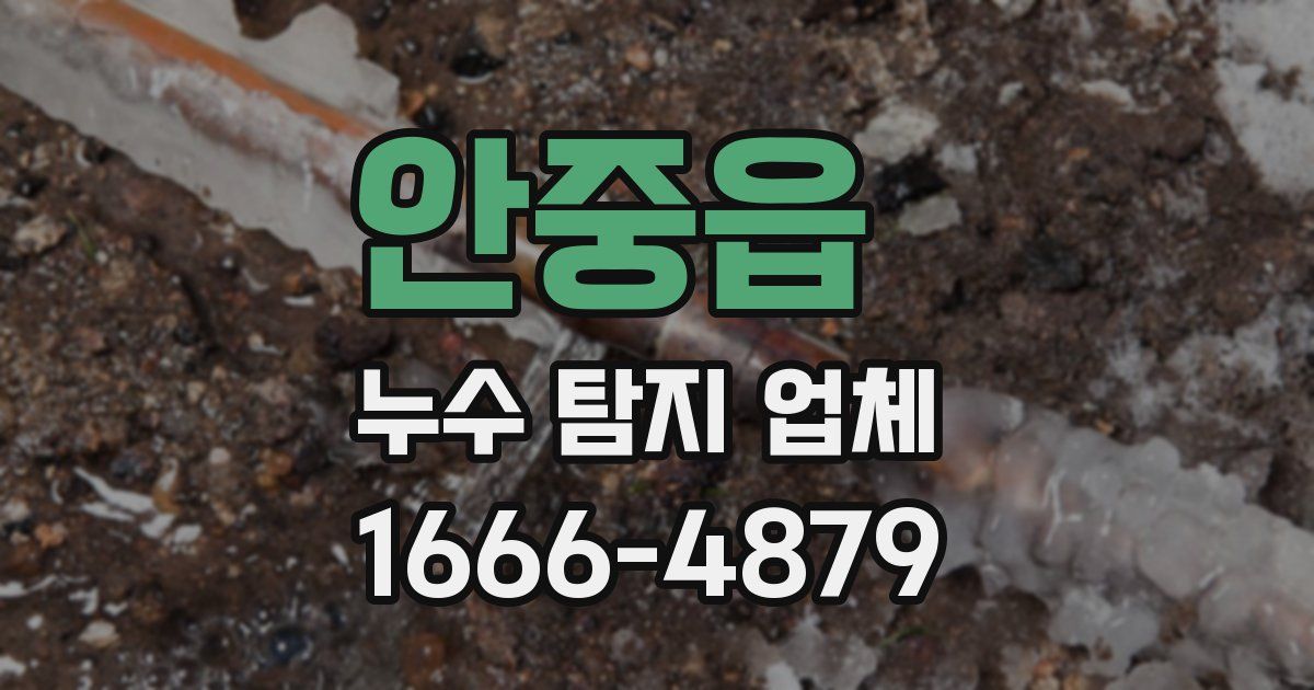 안중읍 누수 탐지 업체