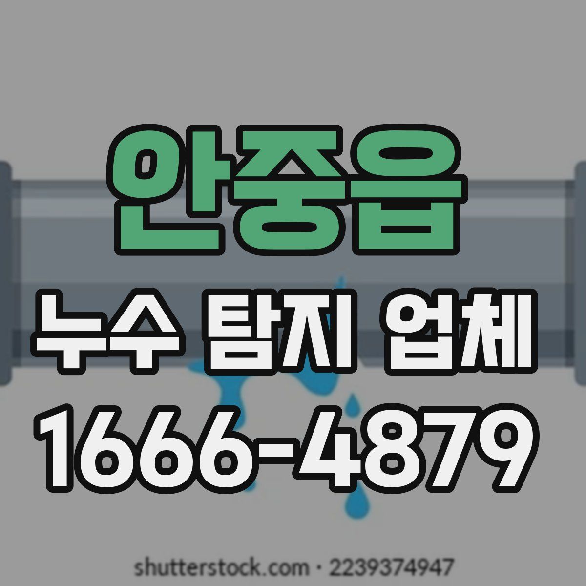 안중읍 누수 탐지 업체