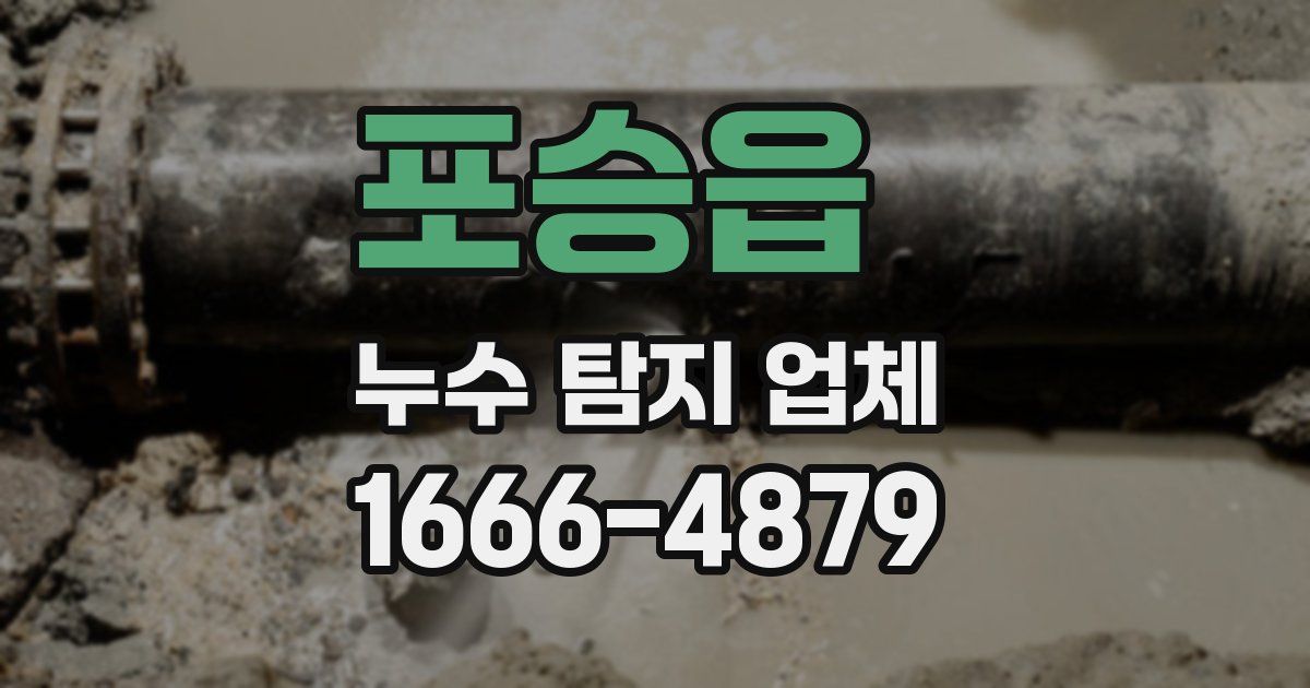 포승읍 누수 탐지 업체