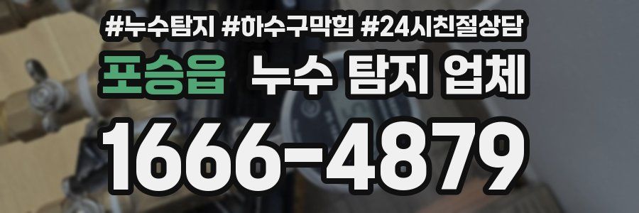 포승읍 누수 탐지 업체