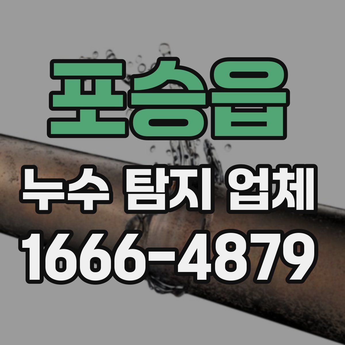 포승읍 누수 탐지 업체