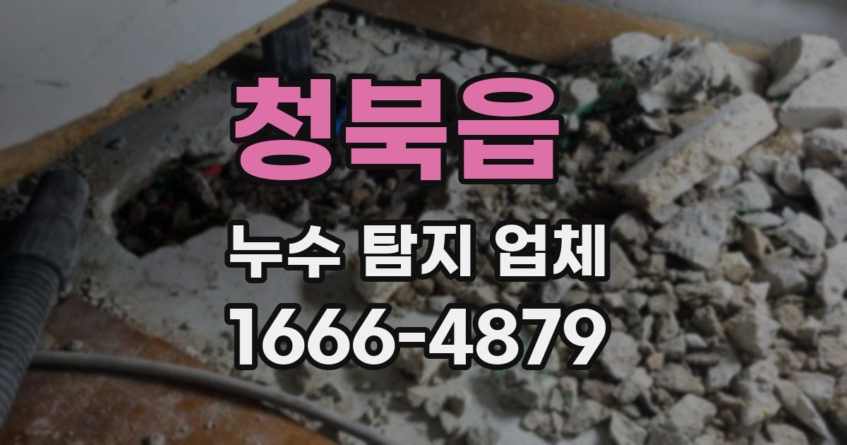 청북읍 누수 탐지 업체