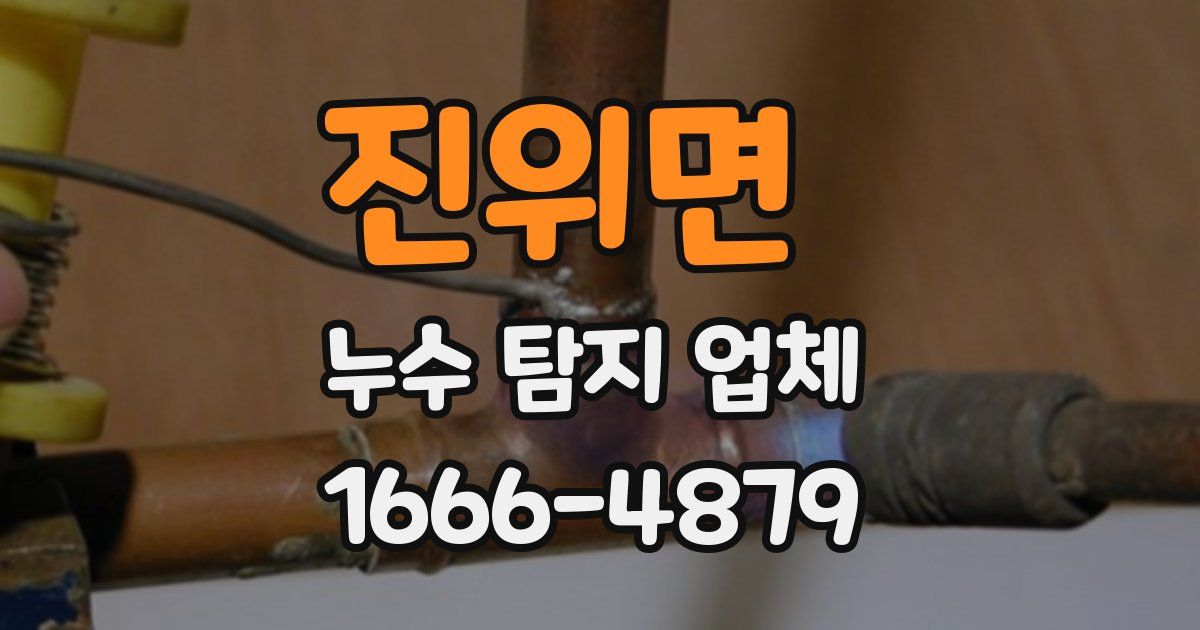 진위면 누수 탐지 업체