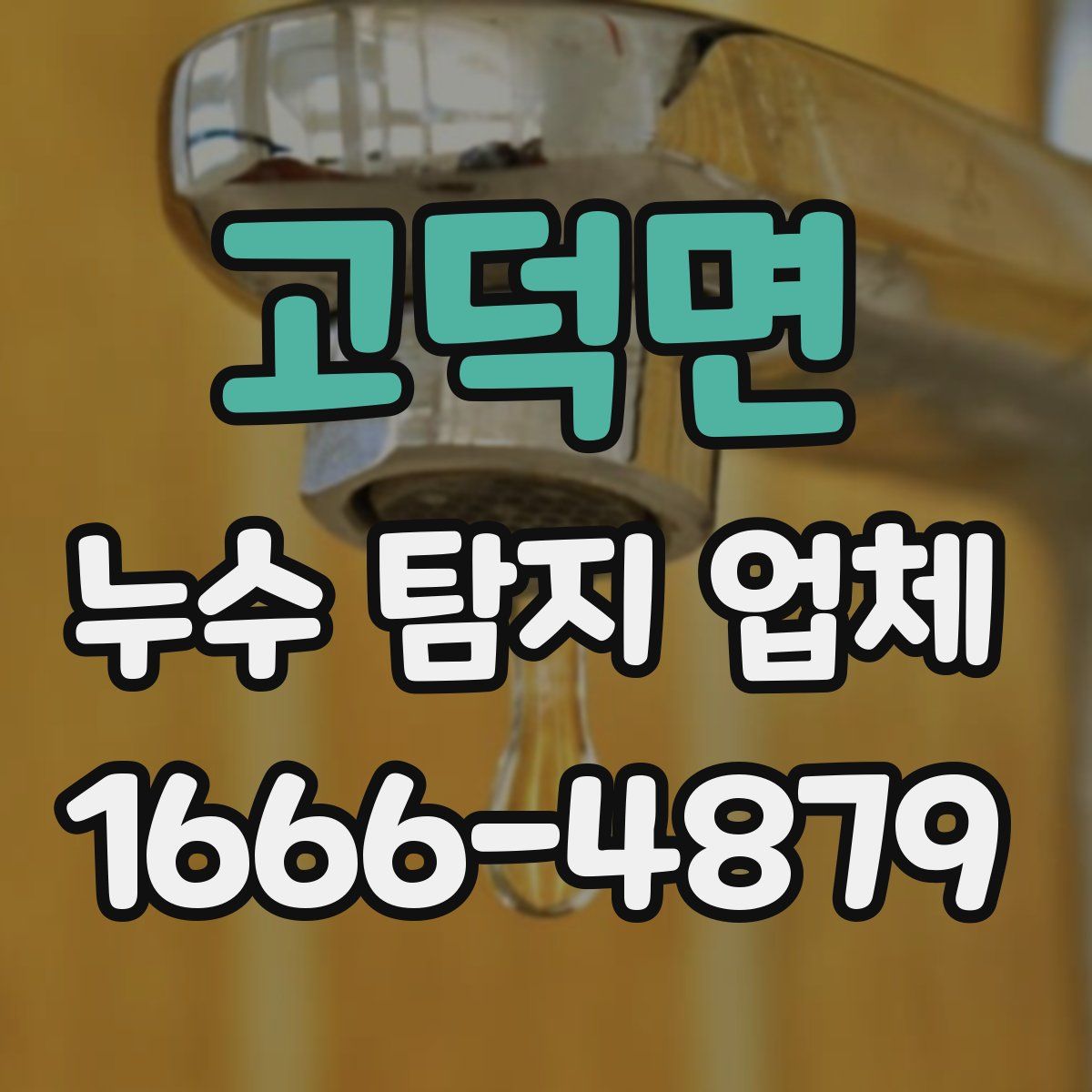 고덕면 누수 탐지 업체