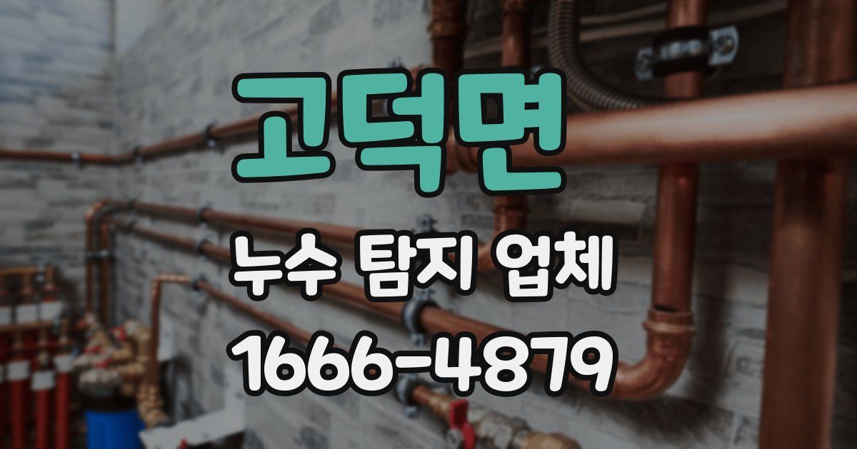 고덕면 누수 탐지 업체