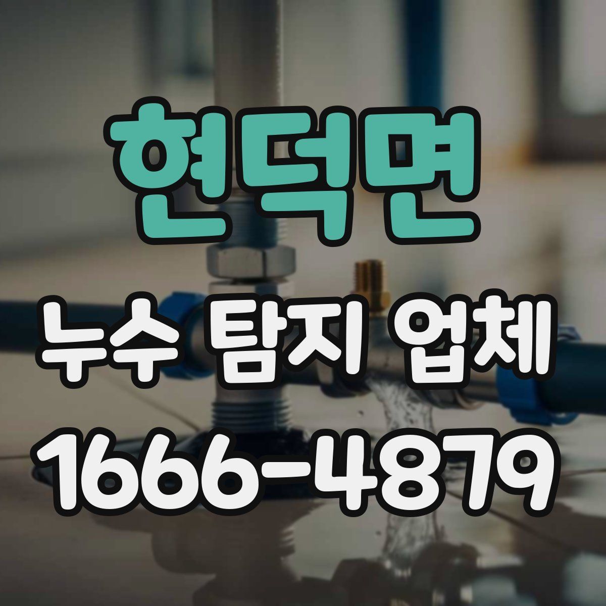현덕면 누수 탐지 업체
