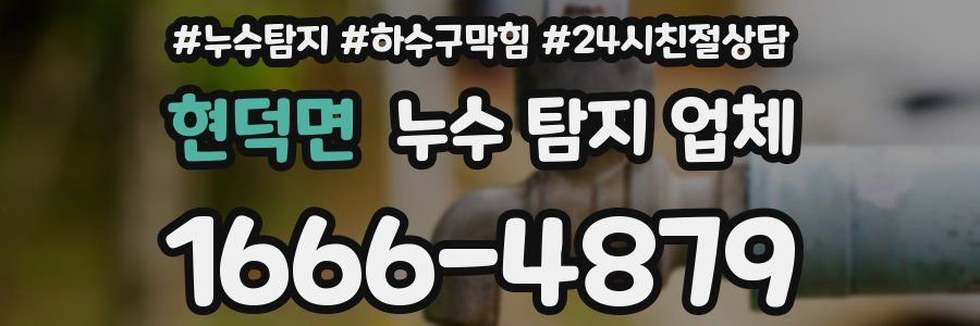 현덕면 누수 탐지 업체