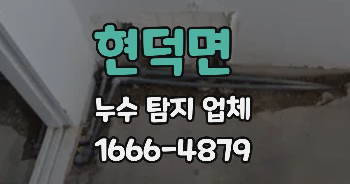 현덕면 누수 탐지 업체