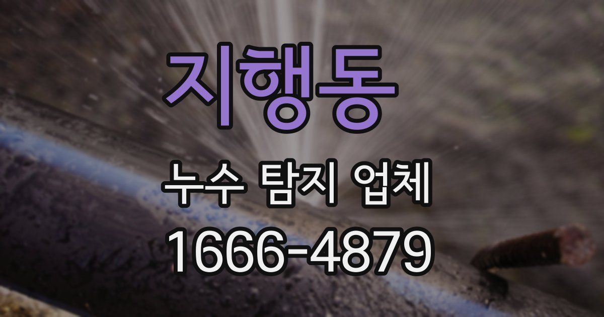 지행동 누수 탐지 업체