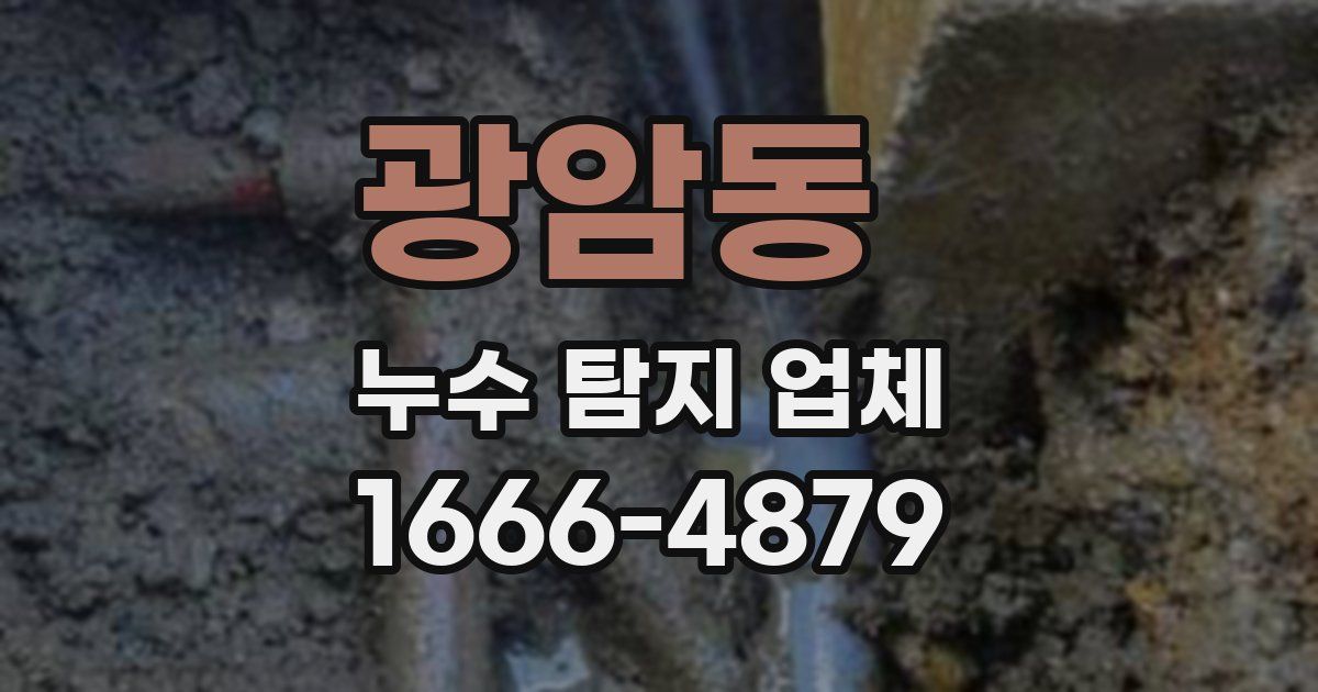 광암동 누수 탐지 업체