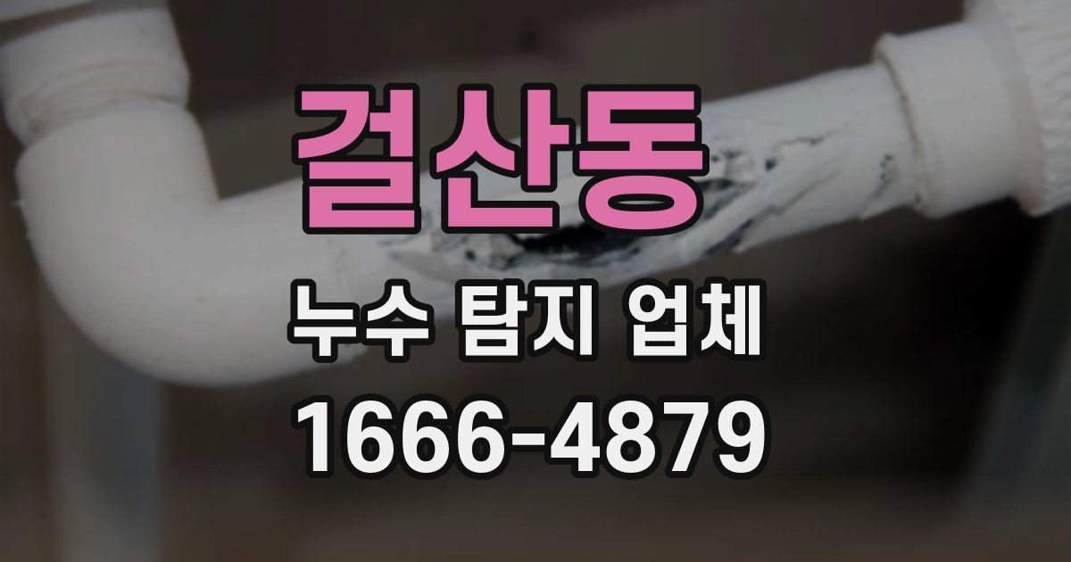 걸산동 누수 탐지 업체