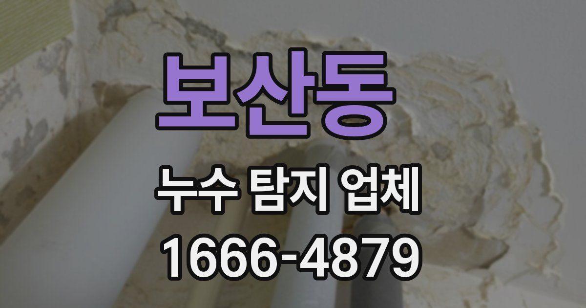 보산동 누수 탐지 업체