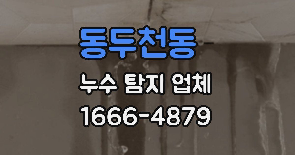 동두천동 누수 탐지 업체