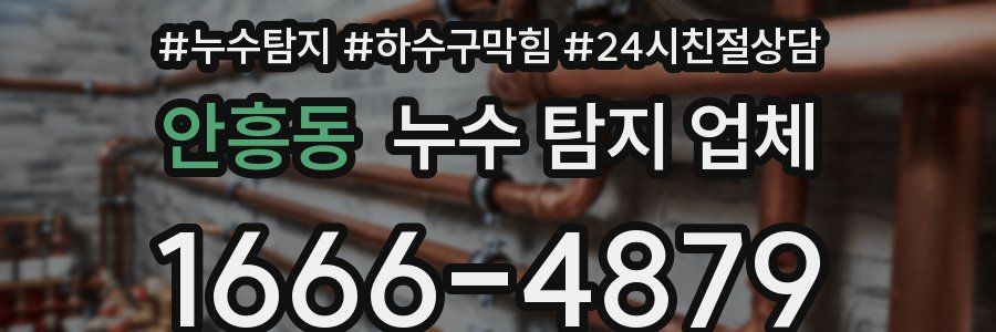 안흥동 누수 탐지 업체