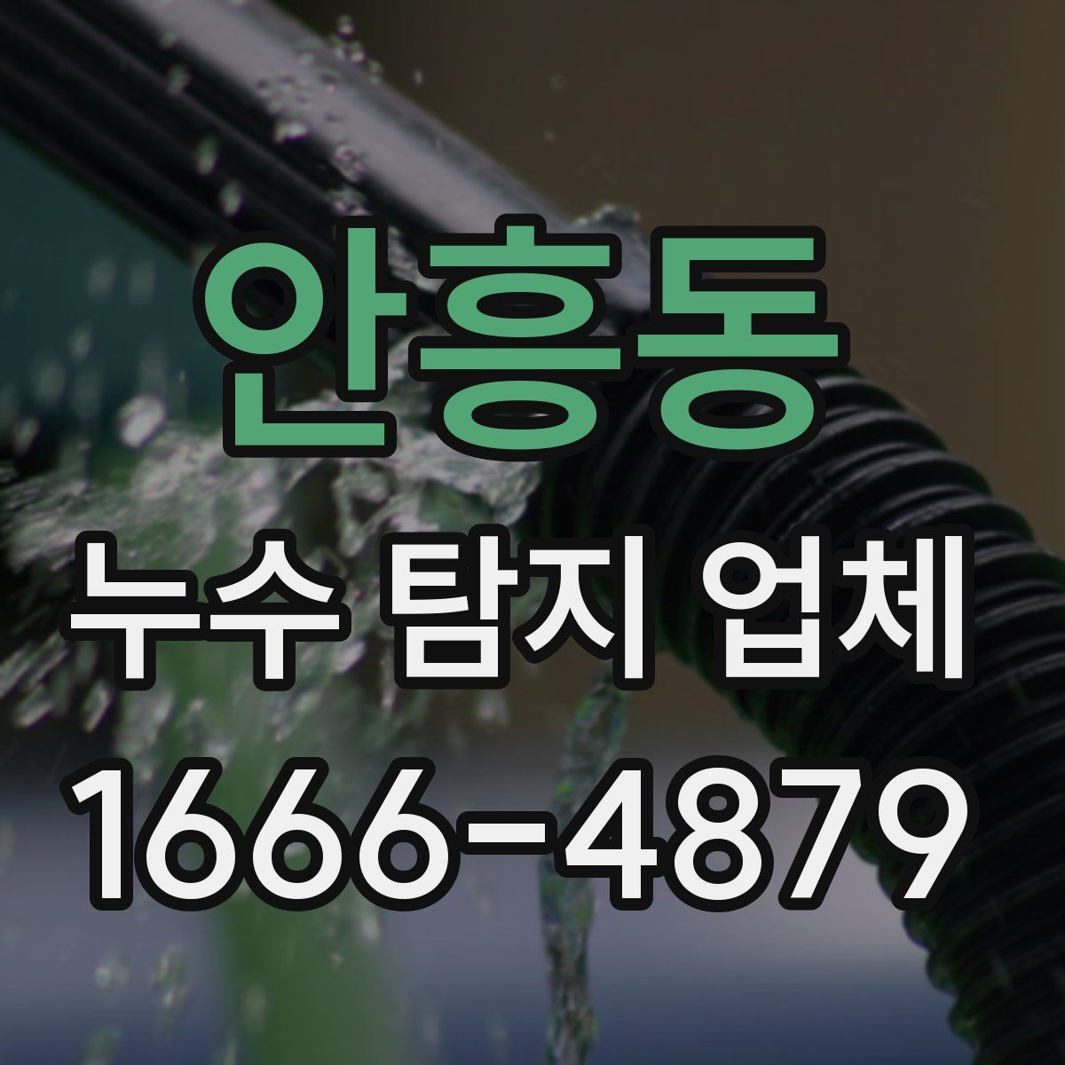 안흥동 누수 탐지 업체