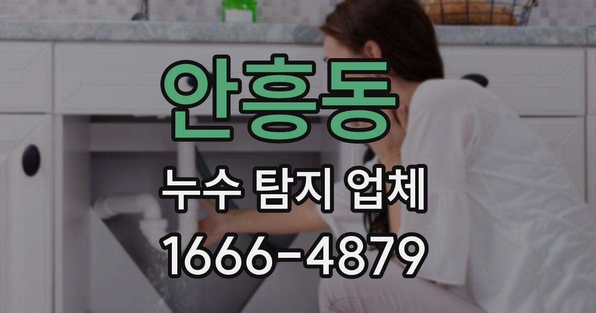 안흥동 누수 탐지 업체