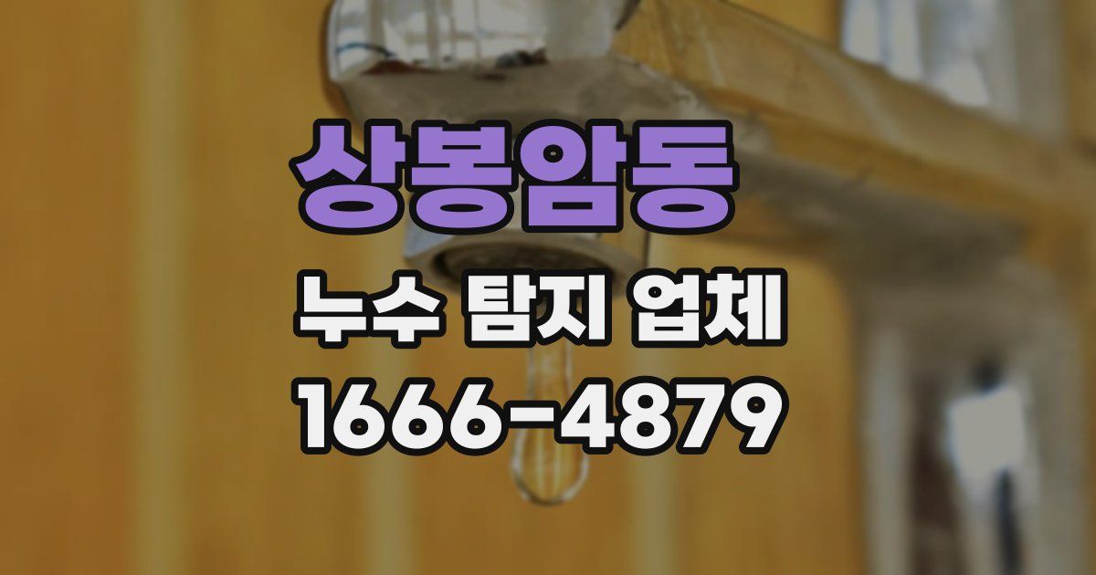 상봉암동 누수 탐지 업체