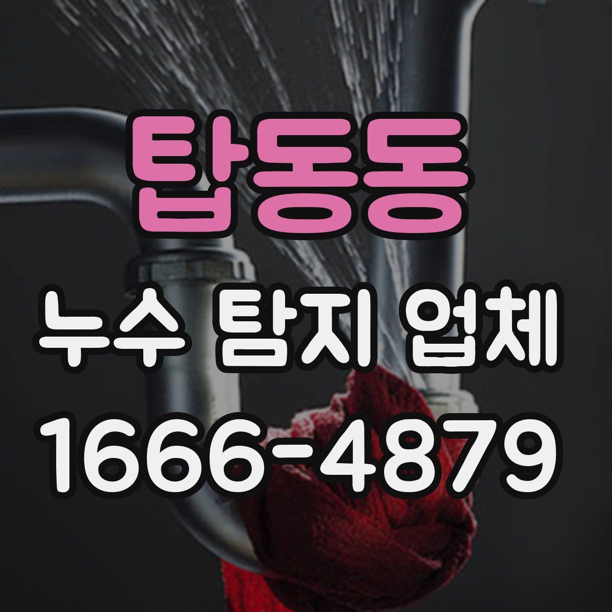 탑동동 누수 탐지 업체