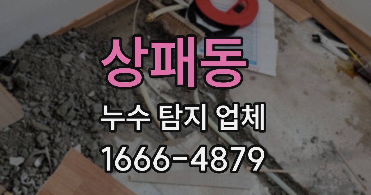 상패동 누수 탐지 업체