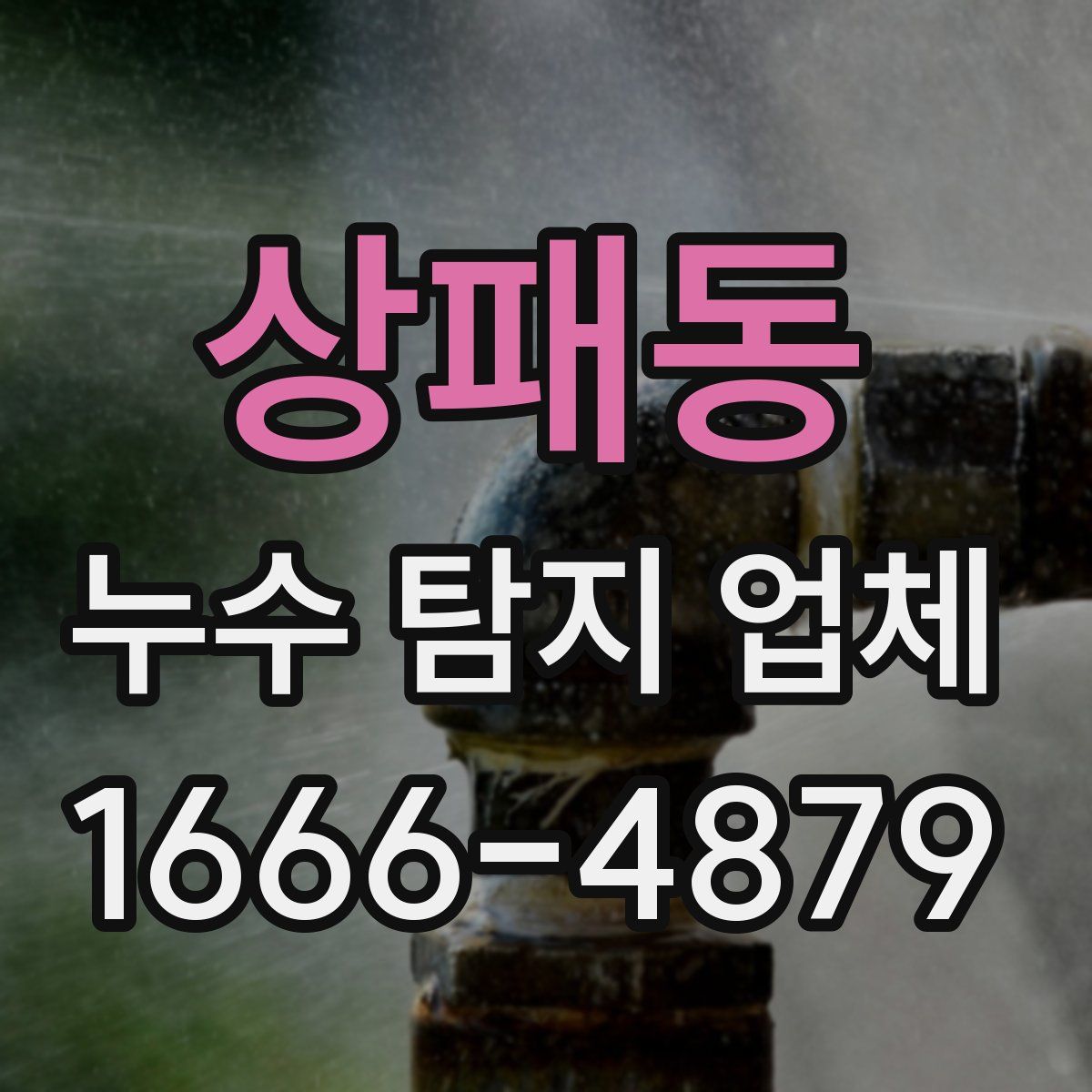 상패동 누수 탐지 업체