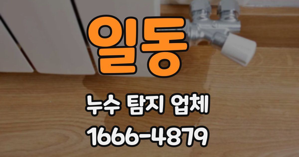 일동 누수 탐지 업체