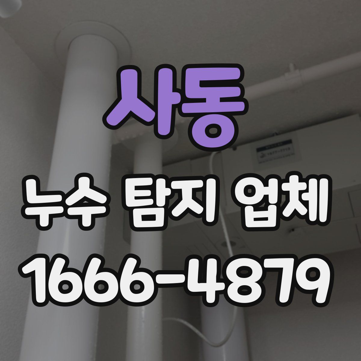 사동 누수 탐지 업체