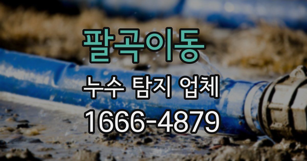 팔곡이동 누수 탐지 업체