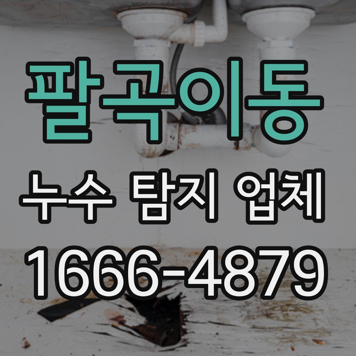 팔곡이동 누수 탐지 업체