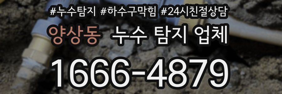 양상동 누수 탐지 업체